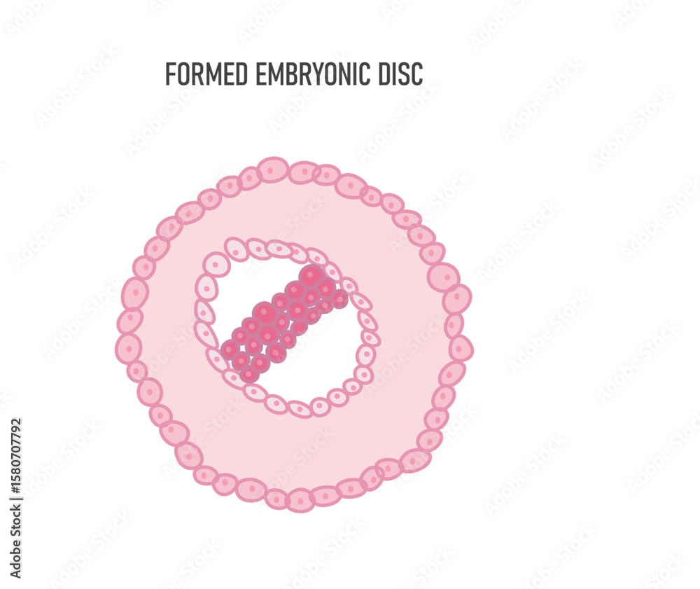 Solved Can someone help me to check the answers? I m not | Chegg.com, image size:1000x841