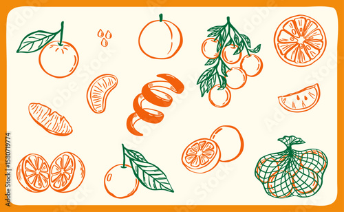 orange fruits illustration doodle hand drawn sketch with orange and green line art - vector collection