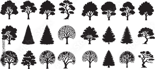 Set of trees in silhouettes, vector illustration of black trees on white background