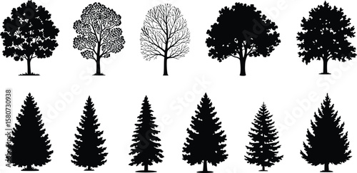 Distinct silhouette trees showcase diverse species and shapes, featuring both deciduous and evergreen trees against a clean background