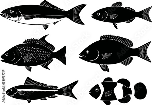 A graphic shows a collection of diverse fish species in black silhouette, perfect for educational materials or aquarium design elements.