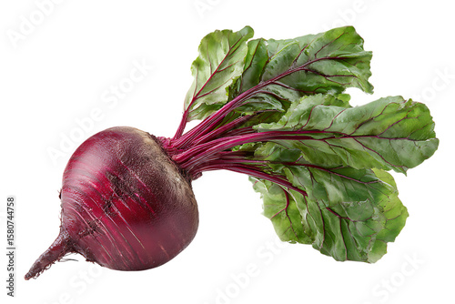 Fresh beet with green leaves on black background
