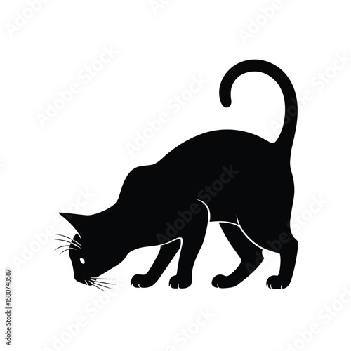 Black cat silhouette sniffing the ground with tail curled upwards animal