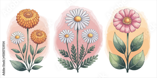 Vector art of watercolor flowers isolated on white background