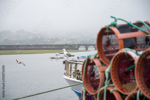 Fototapeta Naklejka Na Ścianę i Meble -  Octupus traditional fishing cage. These traditional cages, called nasa in Spanish, are used to capture octupus, one of the most important seafood in Galicia.
