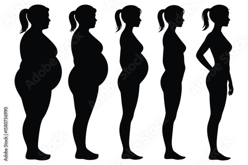Female body shape progression silhouettes vector