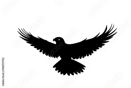 bird flying in the air silhouette