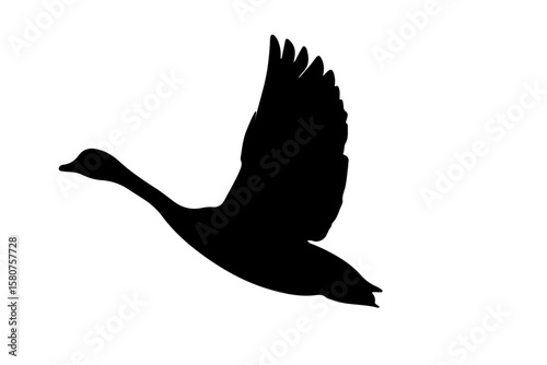 duck silhouette