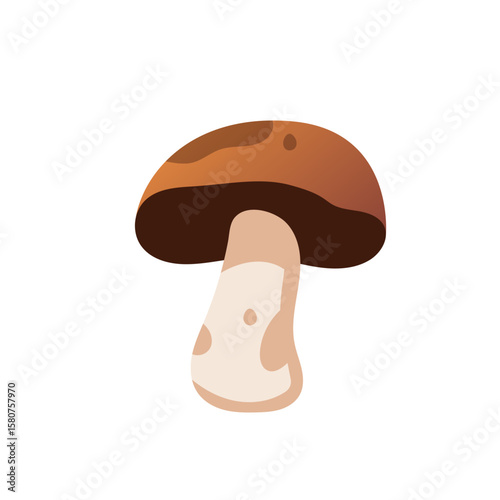 Autumn mushroom. Picking rustic and organic mushrooms. Seasonal food, sustainable development and forest life concepts. Flat vector illustration isolated on white background.