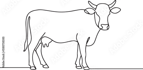 Cow Line Drawing for Farm Animal and Livestock Illustration