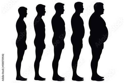 Human body mass progression silhouettes vector
