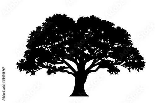 tree silhouette 1
