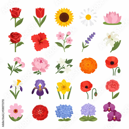 Collection of twenty-four diverse flower illustrations, including roses, tulips, sunflowers, and orchids, arranged on a white background.
