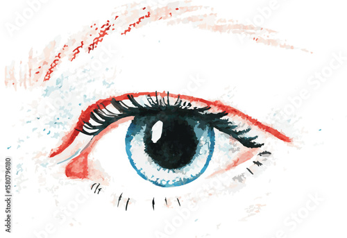 Close up Human Eye Vector Design with Detailed Iris and Pupil