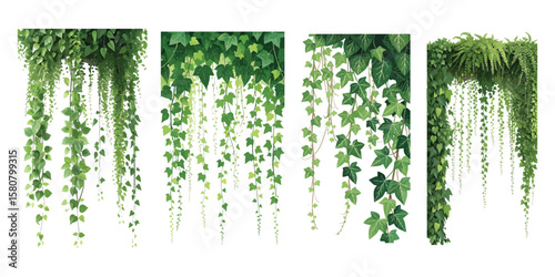 Hanging Plant Vector Set - Lush Greenery Cascade A Collection of Hanging Vine Illustrations Depicting Various Plant Species and Foliage Styles for Decorative Use