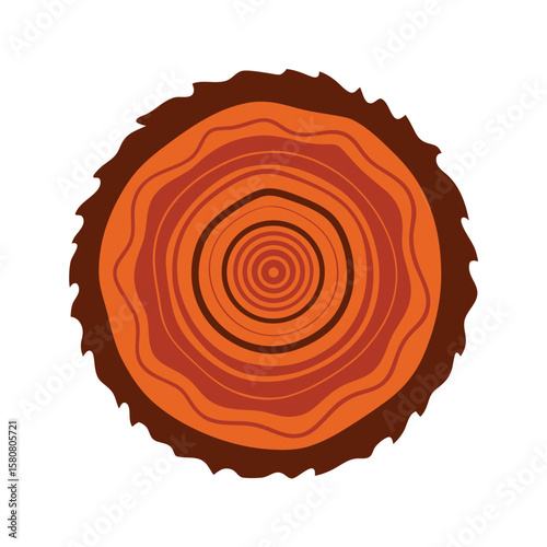 Massive Redwood Tree Cross Section Illustration