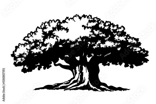 tree silhouette vector isolated on white. nature. black color tree icon 