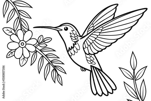 coloring page line art the hummingbird black vector
