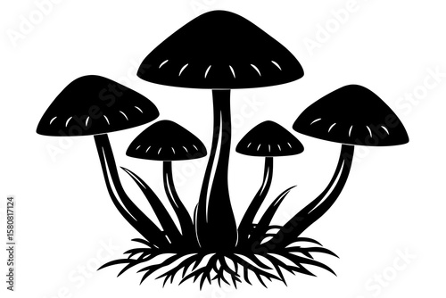 Isolated Cluster of Brown Mushrooms with Roots and Soil on White Background – Nature Photography