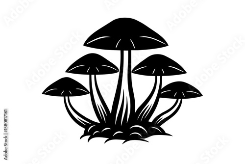 Isolated Cluster of   Mushrooms with Roots and Soil on White Background – Natural Fungi Photography
