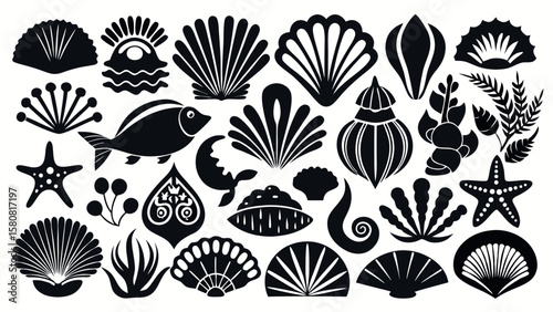 Set of sea shells silhouette icons for ocean and marine life themes. Collection of various seashell shapes in simple black silhouettes