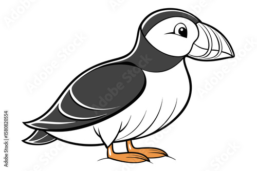 coloring page line art the puffin black vector