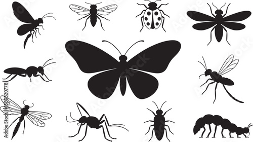 Diverse Insect Species and Butterfly Silhouettes Collection