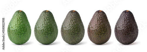 Stages of avocado ripeness isolated on white background.
