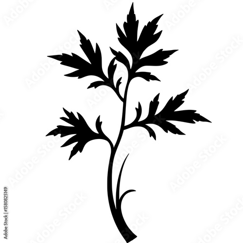 Minimalist black silhouette of mizuna with feathery leaves on white background