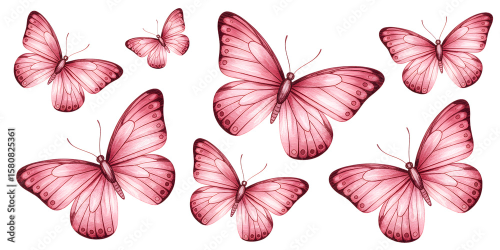 Obraz premium Pink butterflies isolated on transparent background 