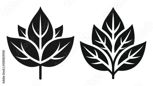 Black and White Leaf Silhouette Set for Nature and Eco Design Elements