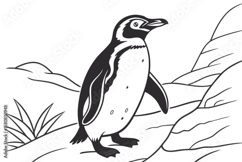 coloring page line art the penguin black vector