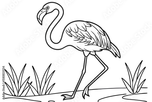 coloring page line art the flamingo black vector