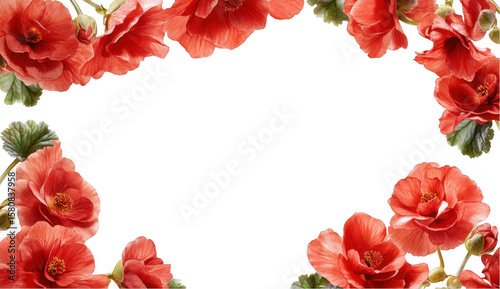 Red Flower Frame, Floral Border, Botanical Design