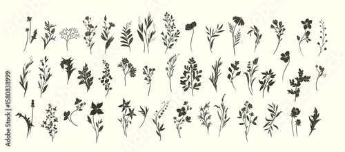 Set of various flowers and branch in silhouette or linocut drawing style. Luxury floral collection for wedding invitation, wallpaper art or save the date card