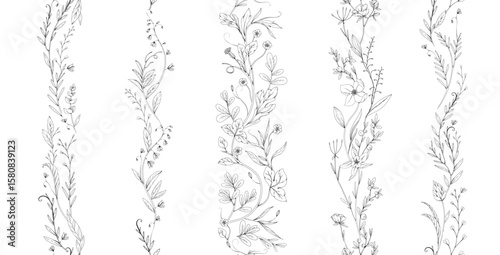 Botanical seamless horizontal border with detailed various foliage, intricate details and delicate forms. Elegant floral rustic design elements. Hand drawn vintage vector