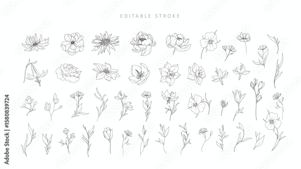 Obraz premium Set of detailed various flowers and branch with editable stroke. Hand drawn vector illustration, botanical elements for invitation, save the date