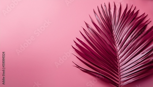 single dark pink palm leaf on pink background