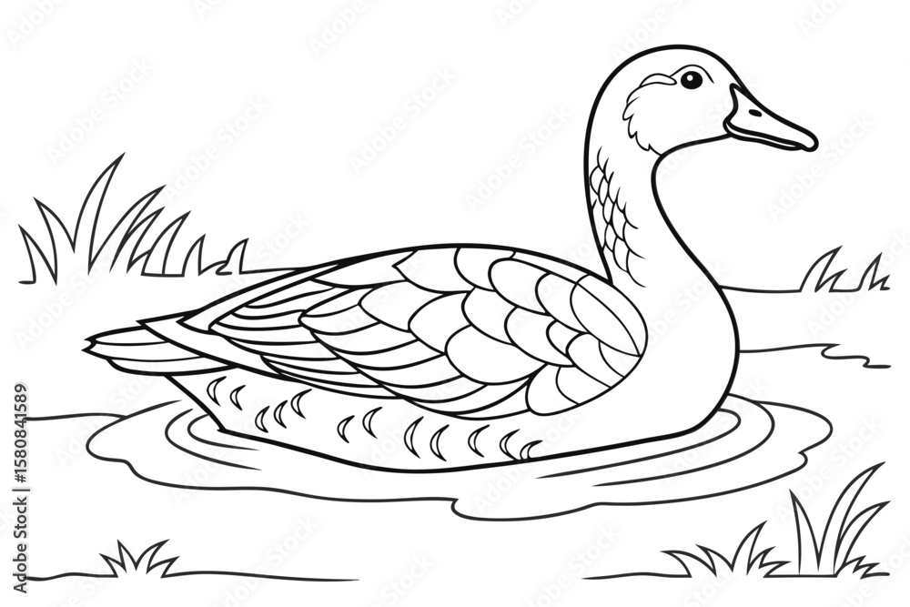 Φωτογραφία coloring page line art the duck black vector