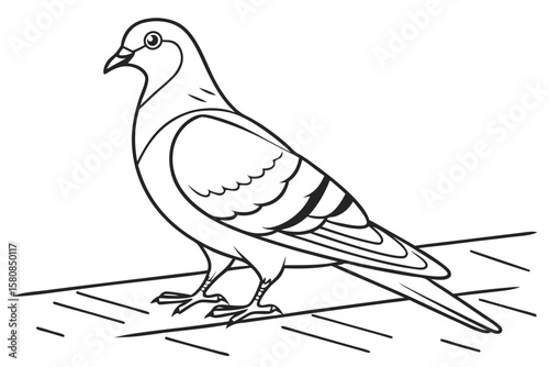coloring page line art the pigeon black vector