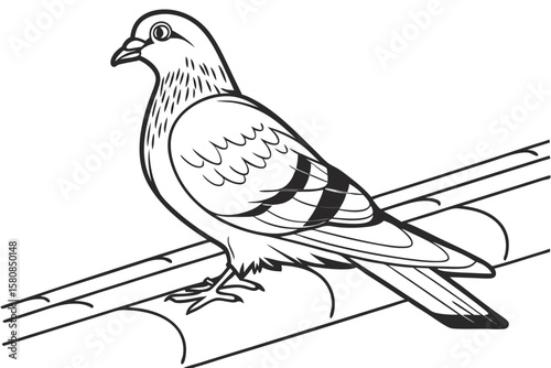 coloring page line art the pigeon black vector
