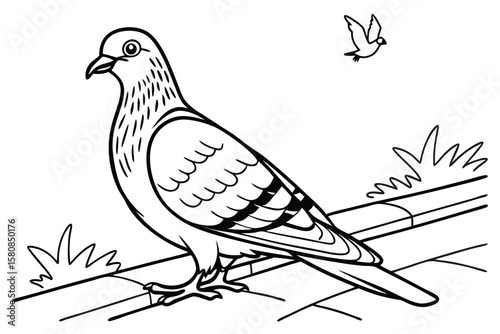 coloring page line art the pigeon black vector