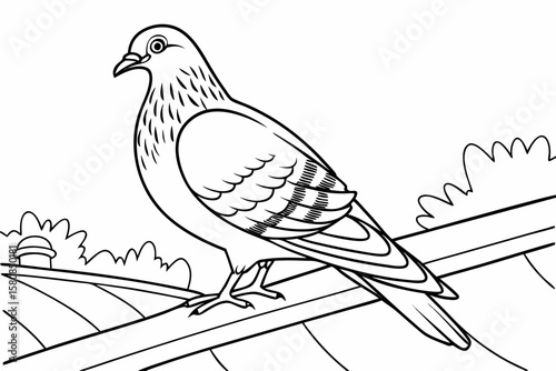 coloring page line art the pigeon black vector