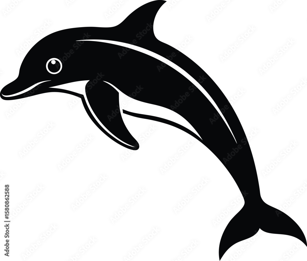 Obraz premium a jumping dolphin on white background.eps