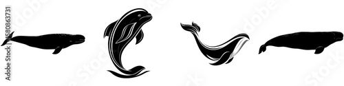 This image depicts the black silhouette of a beluga whale, also referred to as a white whale, in a sleek and streamlined shape, presented in a modern clipart style