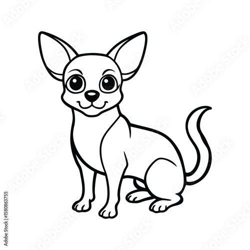 Cute chihuahua dog sitting animal
