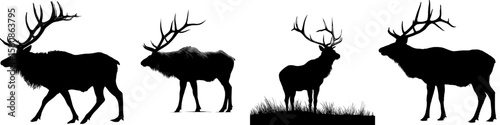 This image depicts a bull elk in black silhouette, complete with large antlers, and is also referred to as a stag or deer, presented in a modern clipart style