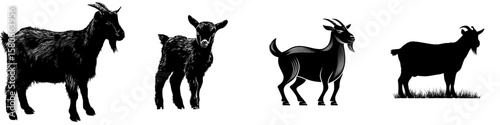 This image depicts a pygmy goat in black silhouette, showcasing its compact yet robust build, representative of a small yet resilient livestock breed, in a modern clipart style
