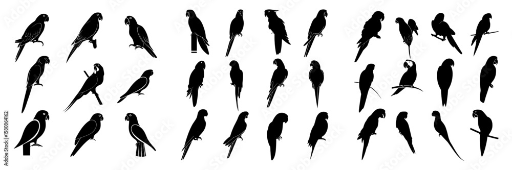 Fototapeta premium A collection of parrot silhouettes set against a white backdrop, version two