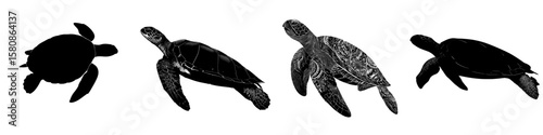 This image depicts the black silhouette of a swimming turtle, also known as a marine or sea turtle, underwater, presented in a modern clipart style